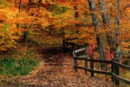 McCormick Creek State Park, Indiana   