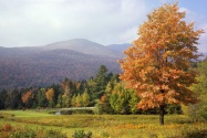 Mount Mansfield, Vermont      ID 34904