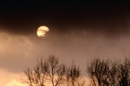 Ominous Evening, Nashville, Tennessee   