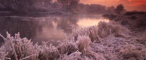 River Avon, Great Britain      ID 38615 (click to view)