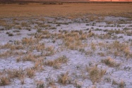 Sunrise Light on Steens Mountain from Alvord Des