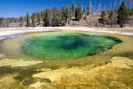 Upper Geyser Basin, Yellowstone National Park, W