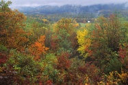 White Church in Autumn, North Carolina   1600x12