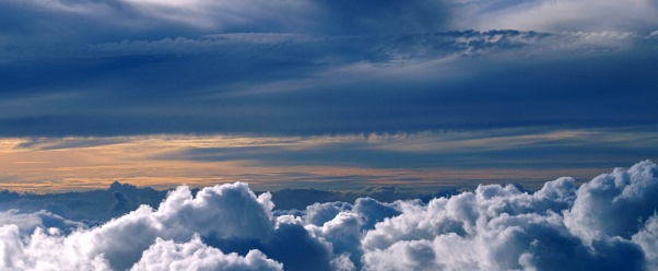 Wild Blue Yonder      ID 20128 (click to view)