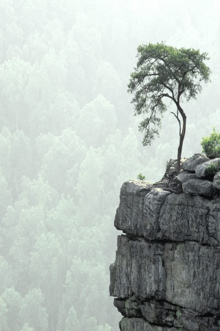 Buzzards' Roost, Fall Creek Falls State Park, Te