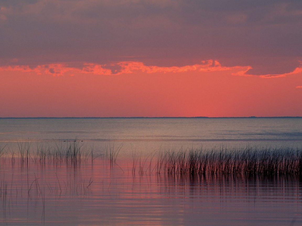 Dreamscape, Florida