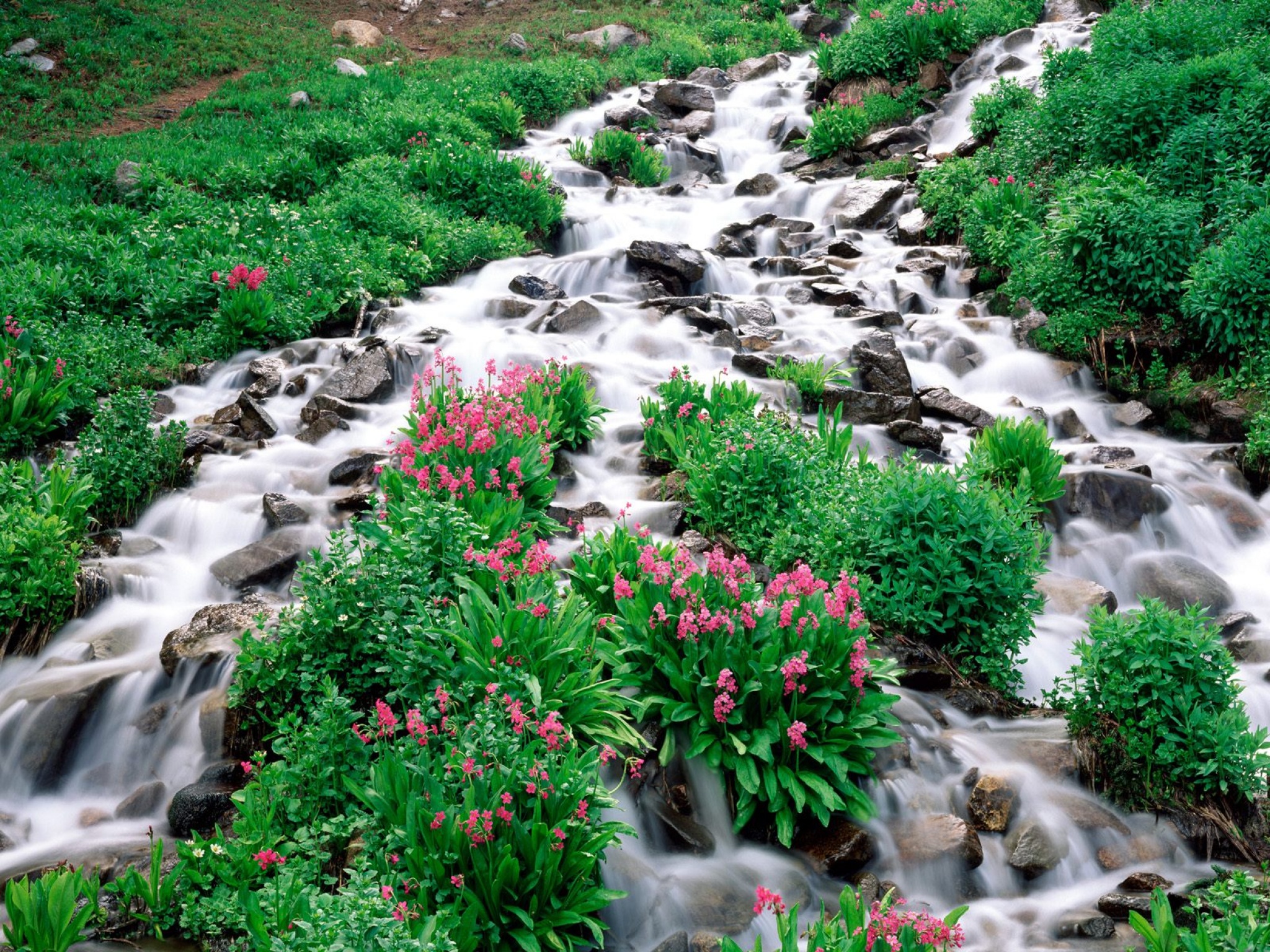 Indian Peaks Wilderness, Roosevelt National Fore