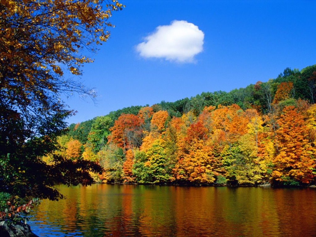 Seasonal Shoreline