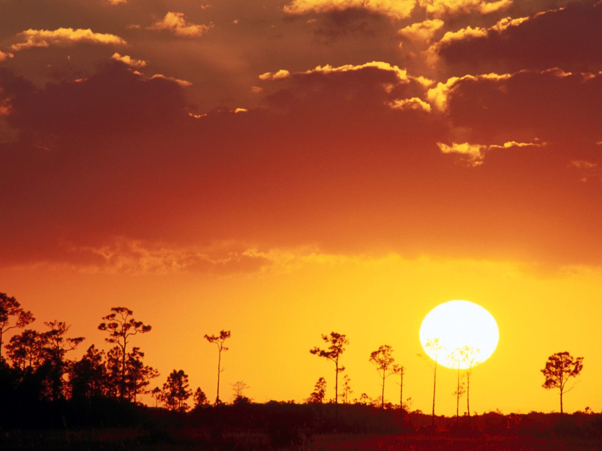 Allow the sun. Солнце на горизонте. Большое солнце. Большое солнце на закате. Закат с большим солнцем.
