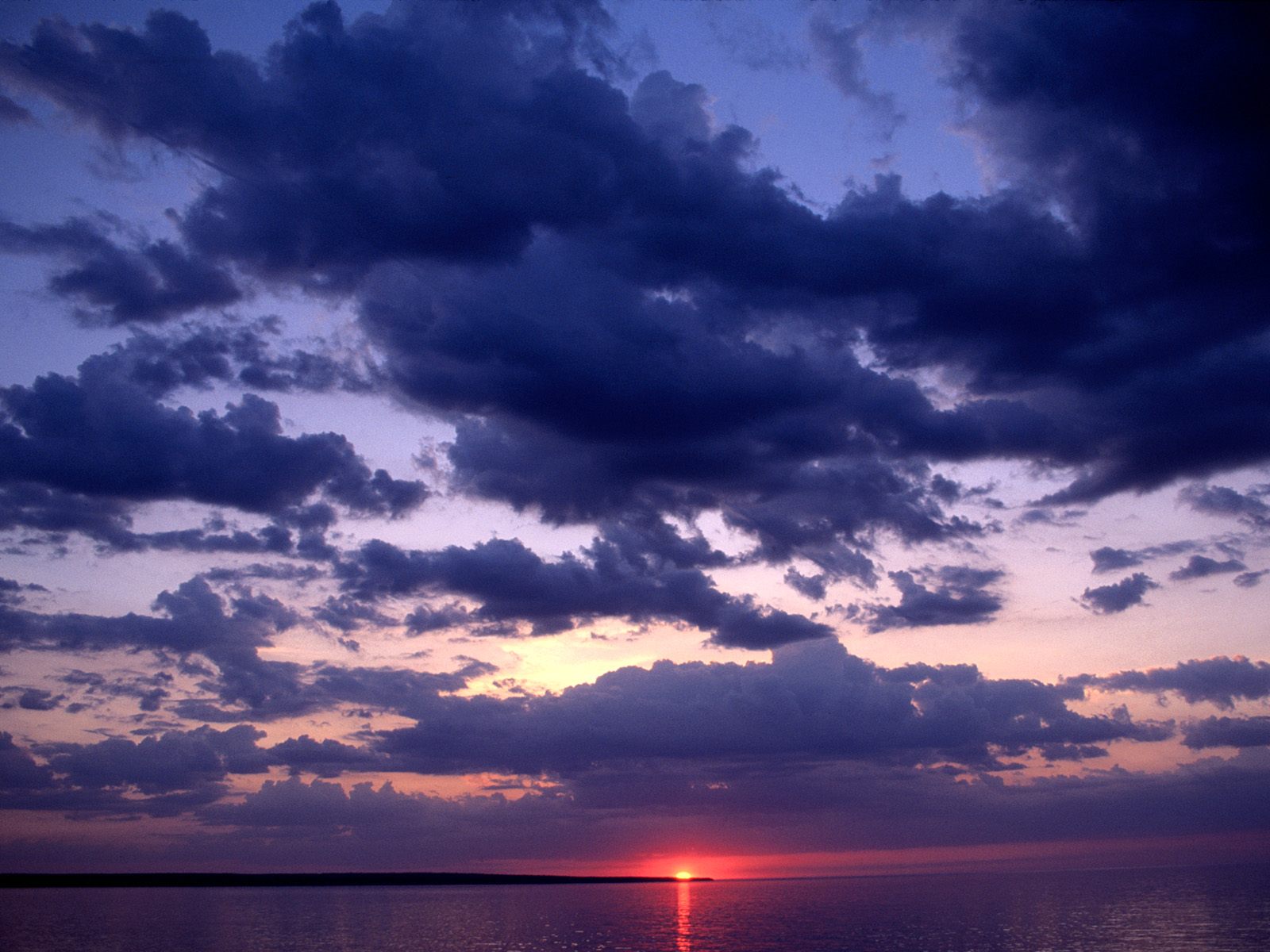Amber, Grand Island, Michigan      ID 3