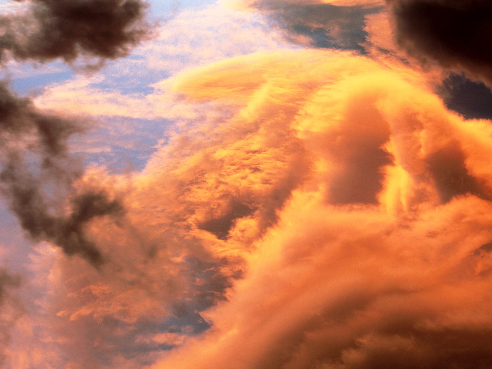 cloudscape new zealand