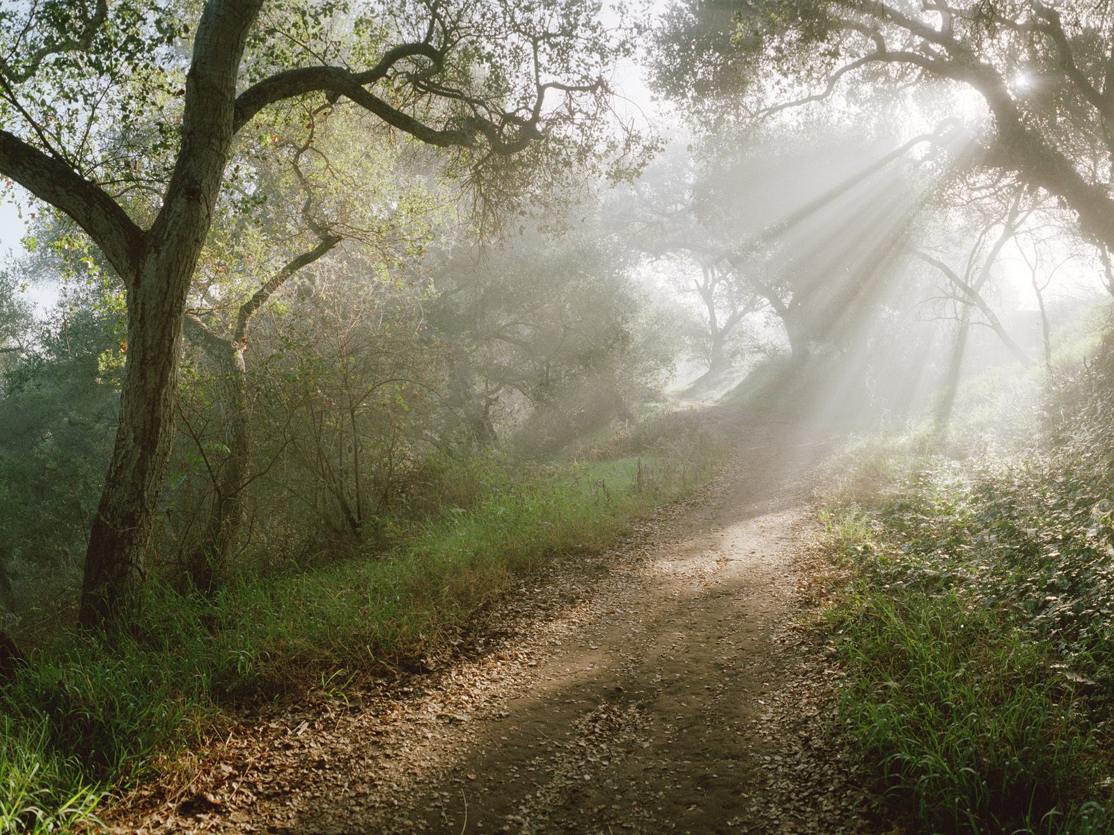 Douglas Family Preserve, Santa Barbara, Californ