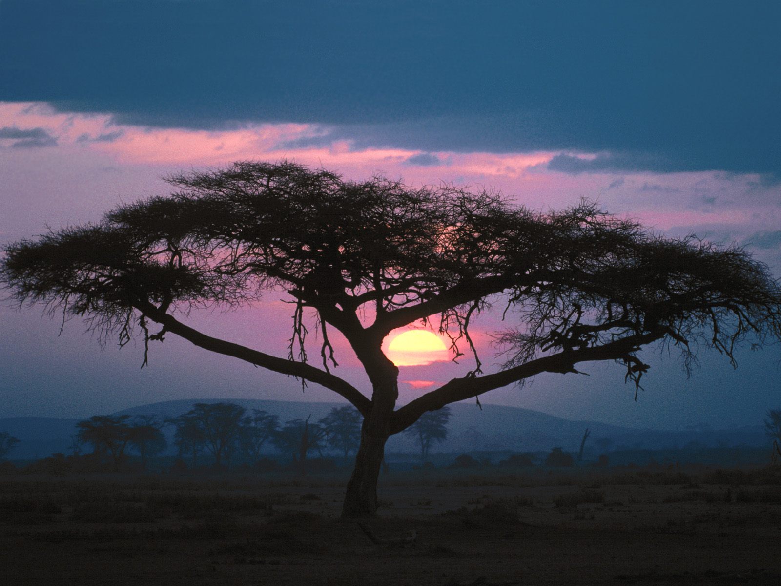 East African Sunset      ID 24704