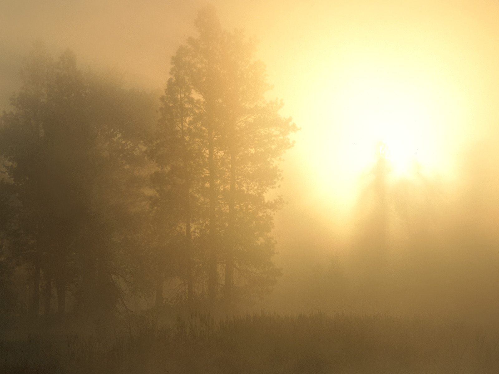 Sunrise through the Sapphire Mountains, Montana